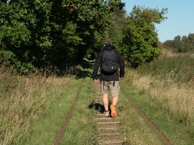 Person med ryggsäck går på igenväxta järnvägsspår genom grön landsbygd i Danmark. Högt gräs kantar stigen med träd framför.