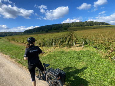 Cyklist på landevej ved omfattende vingårde i Bourgogne. Bakkede landskab med skove under blå himmel med hvide skyer.