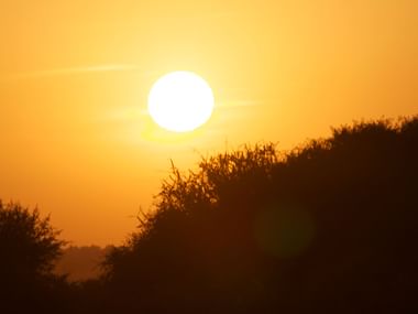 Gyldent solnedgang med klar hvid sol i orange himmel over silhuetterede tornbuske og træer i Marokko.