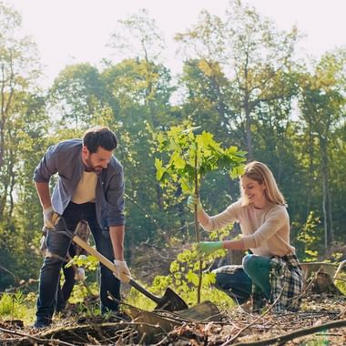 To personer planter et ungt træ i ryddet skovområde. Mand med skovl og kvinde knælende ved plante. Yderligere frivillige synlige i baggrunden.