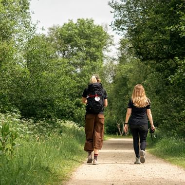To kvinner med ryggsekker går på en trekledd grusvei på den portugisiske Caminoen, omgitt av frodig grønn vegetasjon.