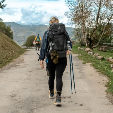 Camino de Santiago