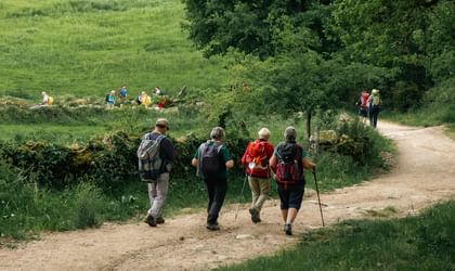 Walking the Camino from Sarria to Santiago