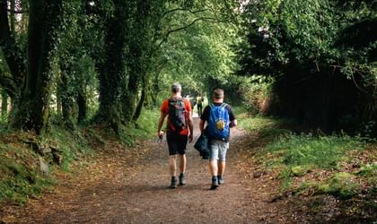 Walking the Camino from Sarria to Santiago