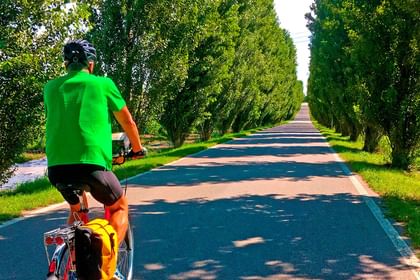 Cycling from the Dolomites to Venice via Lake Garda