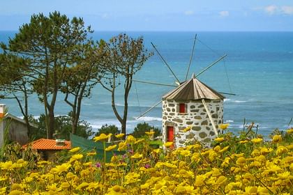 Cycling holiday along vineyards and the Atlantic Sea