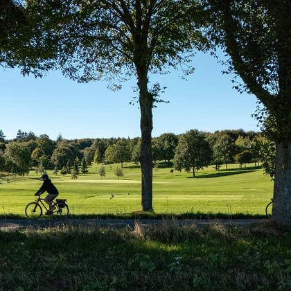 Cyklister på en trädkantad väg i Danmark med öppen grön parkmark och spridda träd under klar blå himmel.