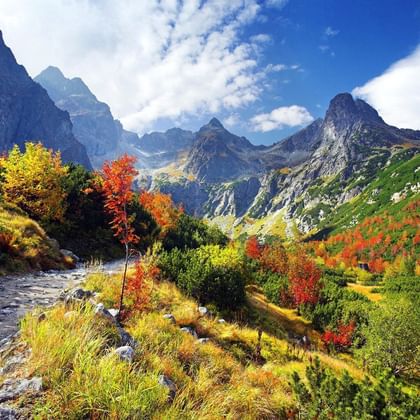 Bjergbæk løber gennem Tatra-dal med levende efterårslav i rødt, orange og gult. Klippefyldte toppe rejser sig under blå himmel med skyer.