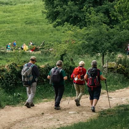 Walking the Camino from Sarria to Santiago