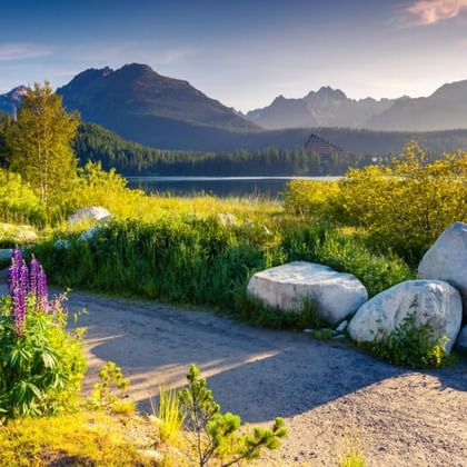Naturskøn udsigt over en bjergsø i Tatra med lilla lupiner, store sten og skovklædte bjerge under blå himmel.