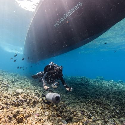 Undervandsudsigt af en dykker med kameraudstyr svømmende under det mørke skrog på skibet MV Nouran over korallrevformationer.