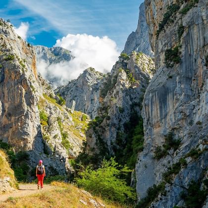 Vandrer i røde bukser på bjergsti mellem høje kalkstensklipper i Picos de Europa. Hvide skyer driver gennem den smalle kløft.