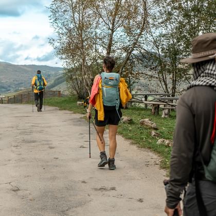 Camino de Santiago