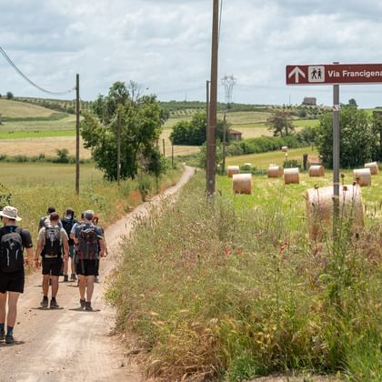 Group of hikers with backpacks walking on a dirt road through Italian countryside. A Via Francigena sign is visible, with hay bales and fields.