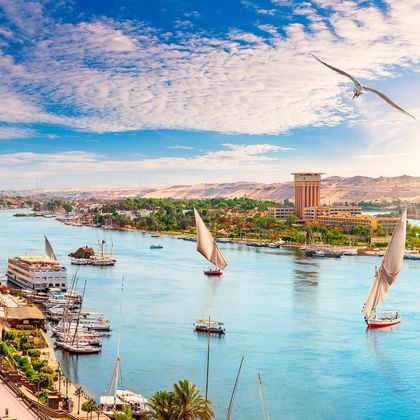 Panoramautsikt over Nilen i Egypt med tradisjonelle felucca-båter, strandpromenade, palmer og ørkenfjell i bakgrunnen.