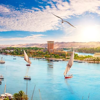Holiday in Egypt