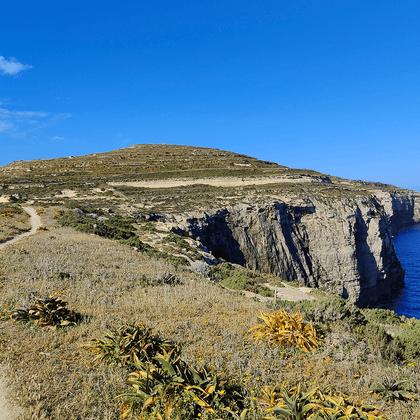 Vandrerute langs dramatiske kalkstensklipper nær Dwejra på Gozo, Malta. Stien slynger sig gennem sparsom vegetation med dybt blåt Middelhav.