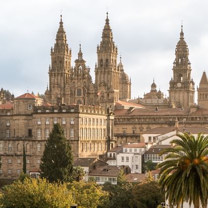 Camino de Santiago