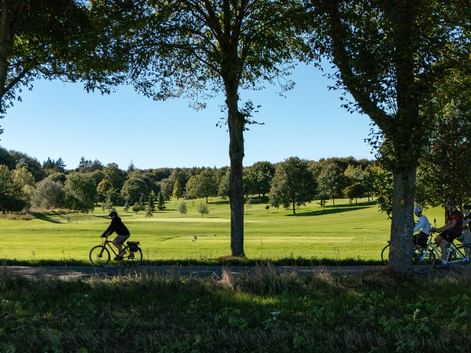 Cyklister på en trädkantad väg i Danmark med öppen grön parkmark och spridda träd under klar blå himmel.