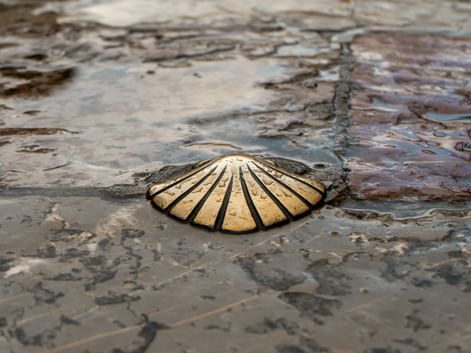 Camino de Santiago