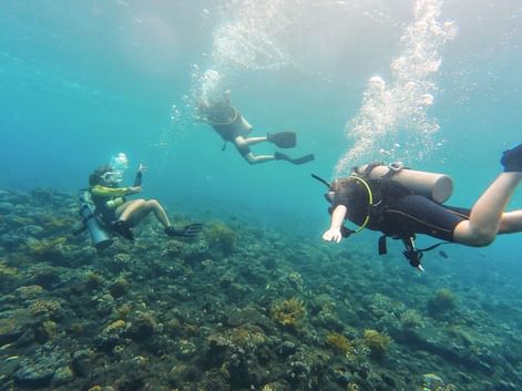 Tre dykkere svømmer over et korallrev i klart turkist vann på Bali, med luftbobler som stiger til overflaten.