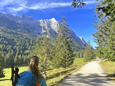 Vandrer med blå rygsæk på grusvej gennem alpeng. Bjergtinder og nåleskov synlige i baggrunden under blå himmel.