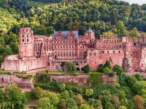Heidelberg Slots ruiner i rød sandsten på en skråning omgivet af tæt grøn skov. Slottet har tårne, mure og renæssancearkitektur.