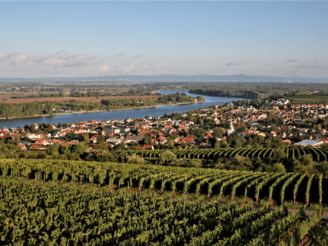 Luftfoto af Nierstein med vinrækker i forgrunden, by med røde tage i midten og Rhinen der løber gennem landskabet under blå himmel.