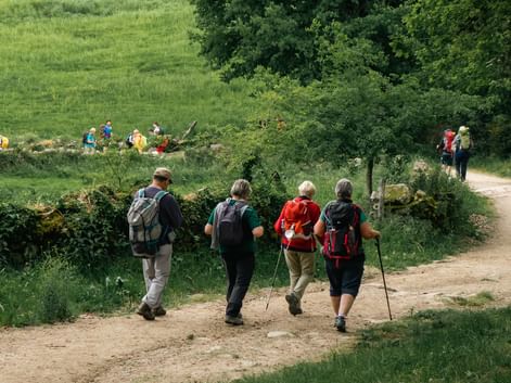 Caminoen fra Sarria til Santiago