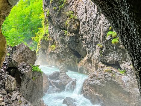 Udsigt fra en klippefyldt kløft nær Zugspitze med turkisblåt vand mellem mosdækkede klipper og grøn skov ovenover.