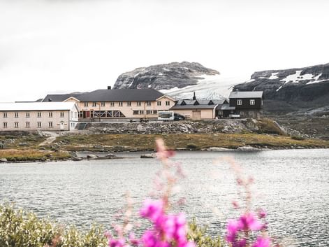 DNT Finse hytter ved en bjergsø på Hardangervidda, Norge. Lyserøde blomster i forgrunden, snedækte bjerge bagved.
