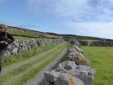 Vandrer med solbriller på jordvej ved stenmure i irsk landskab. Grønne marker og bakkede landskab under skyet himmel.