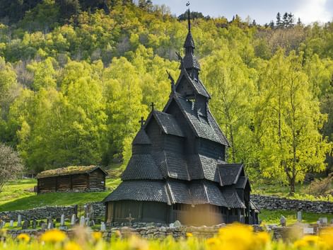 Sort stavkirke med lagdelte tage og spir, omgivet af kirkegård og gule forårsblomstre, med lysegrøn birkeskov i baggrunden.
