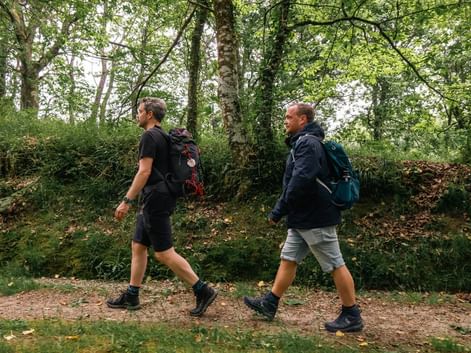To vandrere med rygsække går på en skovsti kantet af grønne træer på Caminoen fra Sarria til Santiago.