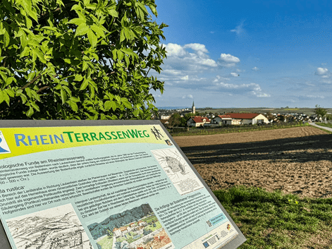 Informationstavle for Rhinen Terrassesti med landsby, vingårde og pløjede marker under blå himmel med hvide skyer.