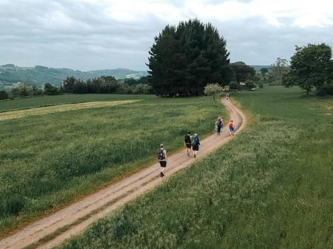 Walking the Camino from Sarria to Santiago
