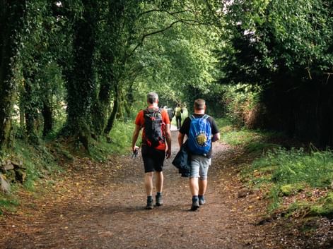 Walking the Camino from Sarria to Santiago