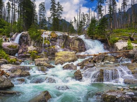 Kaskaderende bjergbæk med turkis vand, der strømmer over mosdækkede sten i Tatrabjergene. Tæt nåleskov omgiver vandfaldet.