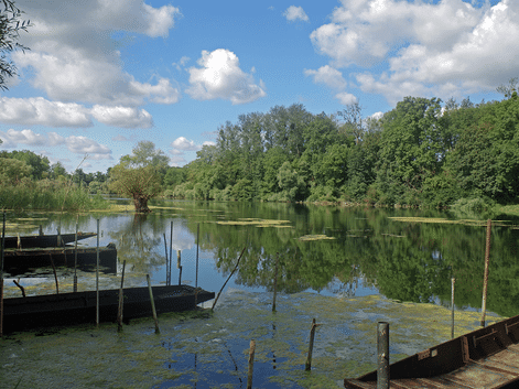 Gamle træpramme fortøjet langs en rolig flod nær Strasbourg, omgivet af grønne træer under blå himmel med hvide skyer.