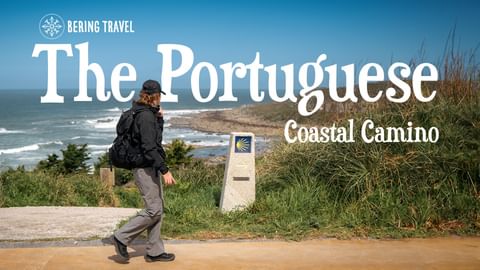 Hiker with backpack walking past Camino waymarker with shell symbol on Portuguese coastal path. Ocean and grassy coastline visible in background.