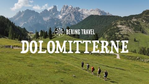 Gruppe fotturister på grønn alpeng med dramatiske Dolomittenes fjelltopper og skogkledde skråninger under blå himmel med skyer.