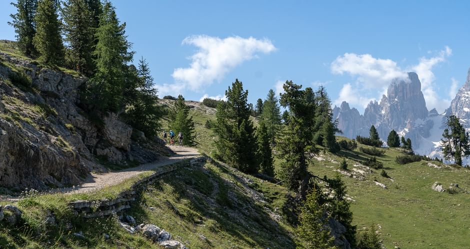 Snoet grusvej gennem alpine enge med nåletræer og dramatiske Dolomittop pe under blå himmel med hvide skyer.