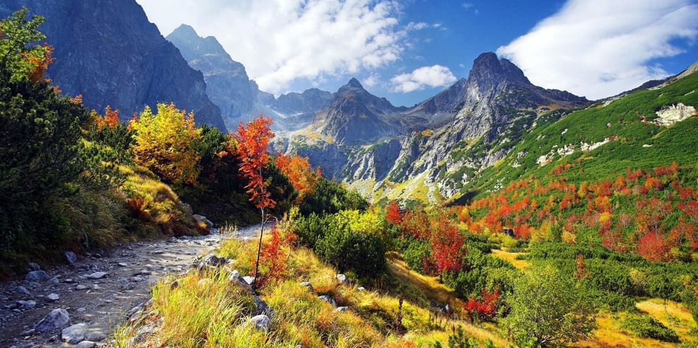 Bjergbæk løber gennem Tatra-dal med levende efterårslav i rødt, orange og gult. Klippefyldte toppe rejser sig under blå himmel med skyer.