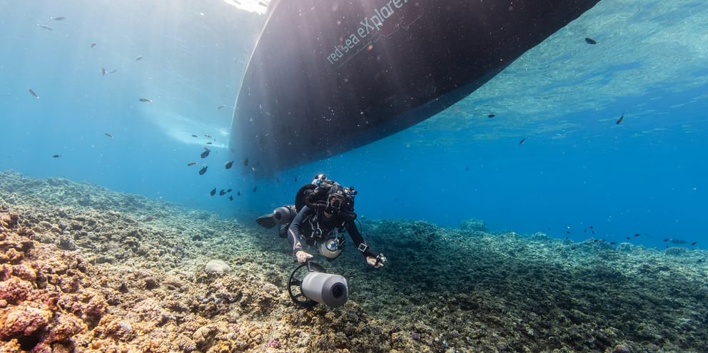 Undervandsudsigt af en dykker med kameraudstyr svømmende under det mørke skrog på skibet MV Nouran over korallrevformationer.