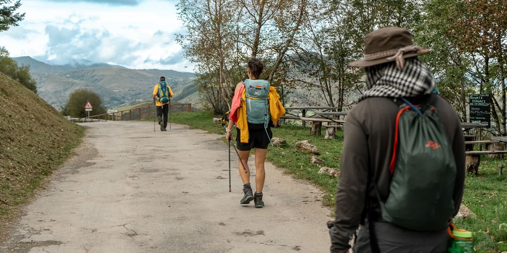 Camino de Santiago