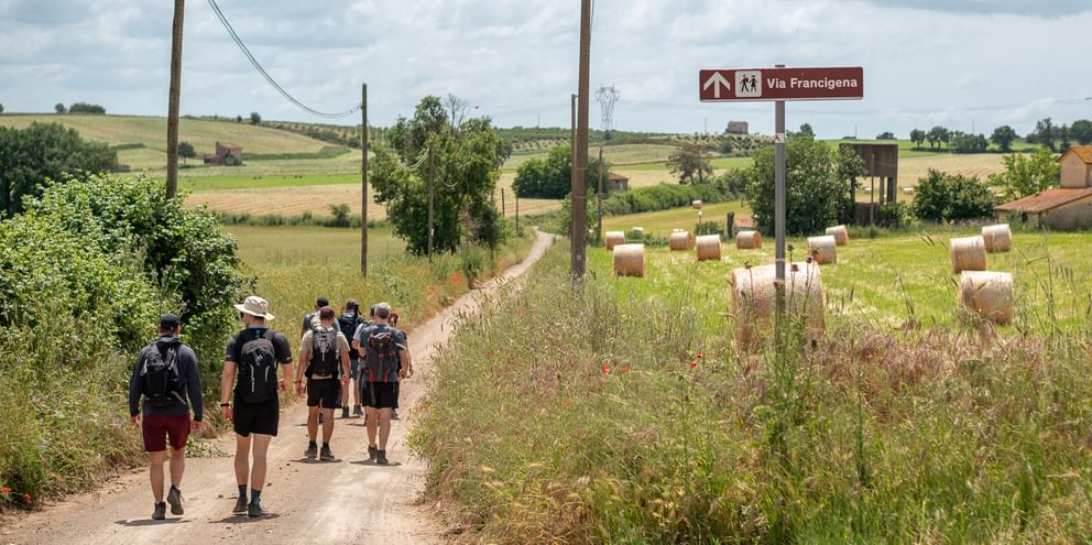 Group of hikers with backpacks walking on a dirt road through Italian countryside. A Via Francigena sign is visible, with hay bales and fields.