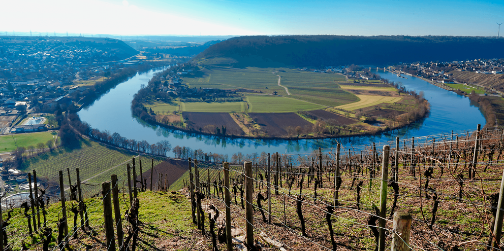 Luftfoto af Neckar-sløjfen ved Hessigheim. Vingårdsrækker i forgrunden, landbrugsmarker på halvøen, landsbyer på begge sider.